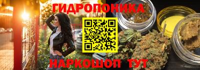 a pvp Тара