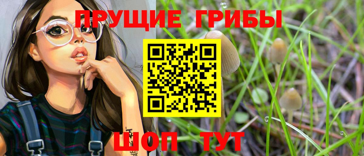Псилоцибиновые грибы Magic Shrooms Черкесск