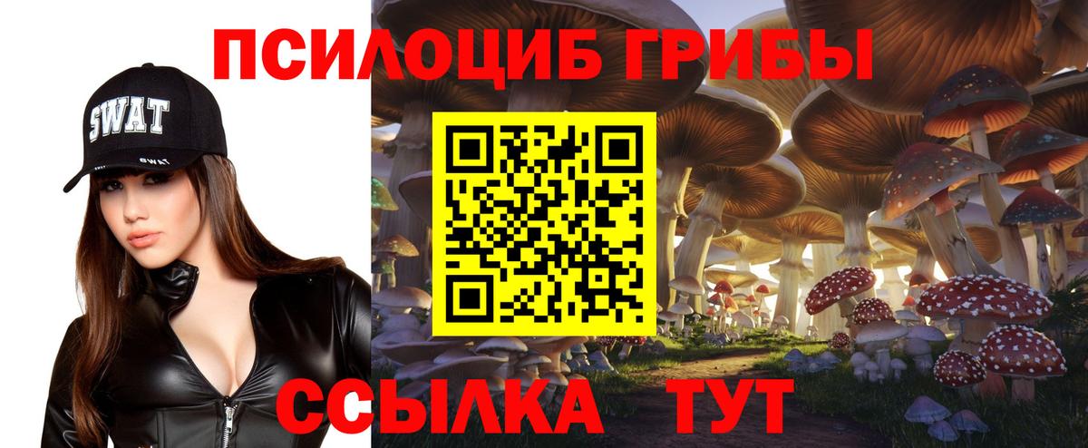 Галлюциногенные грибы ЛСД  Вход с VPN  Черкесск 